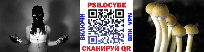 Псилоцибиновые грибы Psilocybe  Брянск 